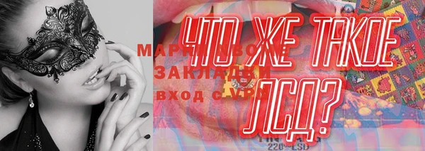 гидропоника Алзамай