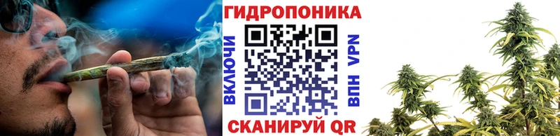 купить   omg маркетплейс  Конопля тримм  сайты даркнета какой сайт  Новоузенск 